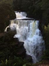 D'Alton Falls